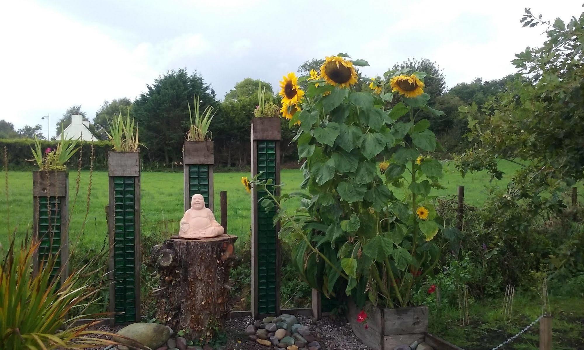 The Rose Garden Bed & Breakfast And Cafe เคนแมร์ ภายนอก รูปภาพ